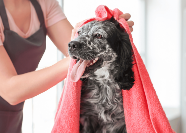 Custom-Made Pet Towels for grooming salons and pet owners
