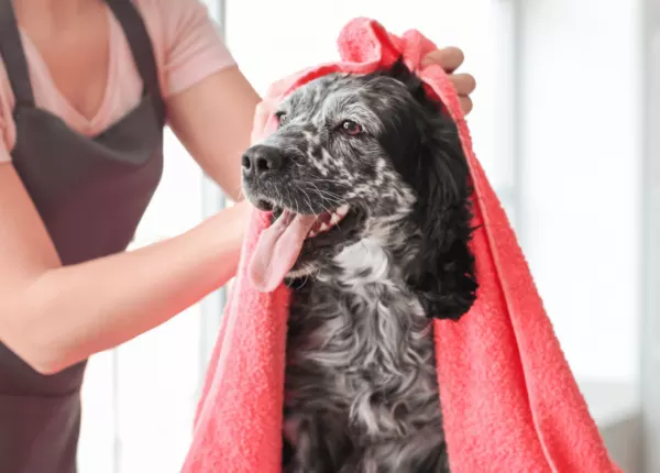 Custom-Made Pet Towels for grooming salons and pet owners