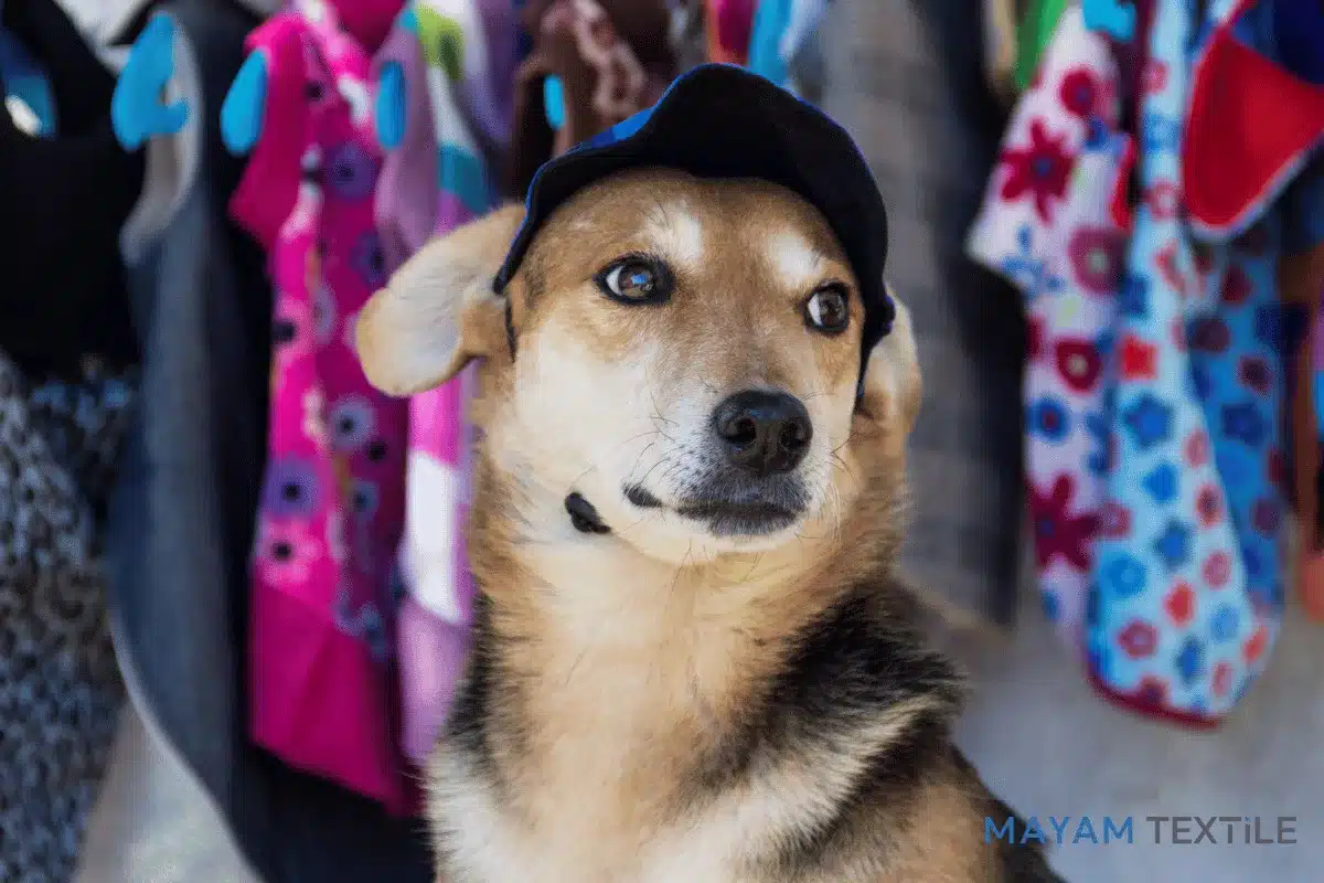 Custom Pet Apparel & Accessories: A Growing Trend – How MAYAM TEXTILE Supports Pet Shops, Groomers, and Importers