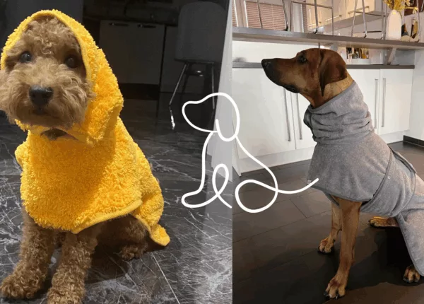 Happy dog in a luxury bathrobe, 2025 pet grooming trends
