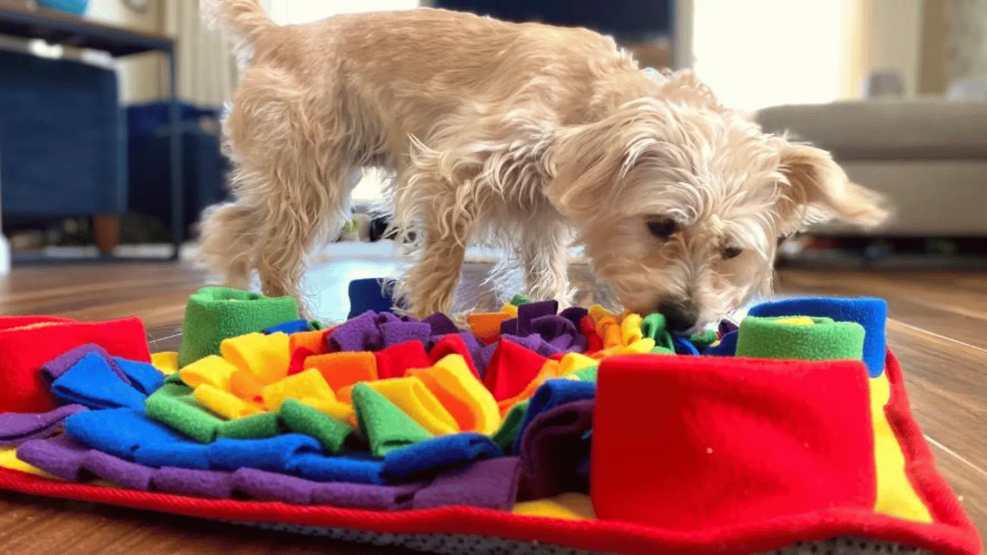 Custom Dog Snuffle Mat Manufacturer